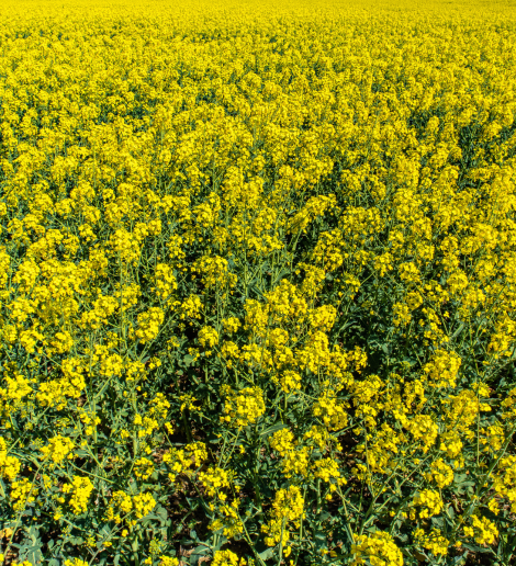 Untitled design (11)